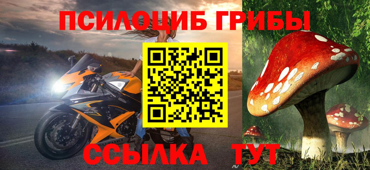 Псилоцибиновые грибы MAGIC MUSHROOMS  Вход с VPN  как найти закладки  Алейск 