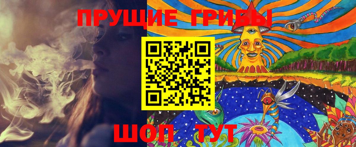Псилоцибиновые грибы мухоморы Алейск